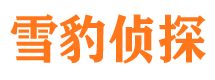 岳塘市婚外情调查